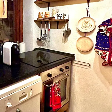 Caldo Rifugio Con Giardino In Pieno Centro 아파트 *