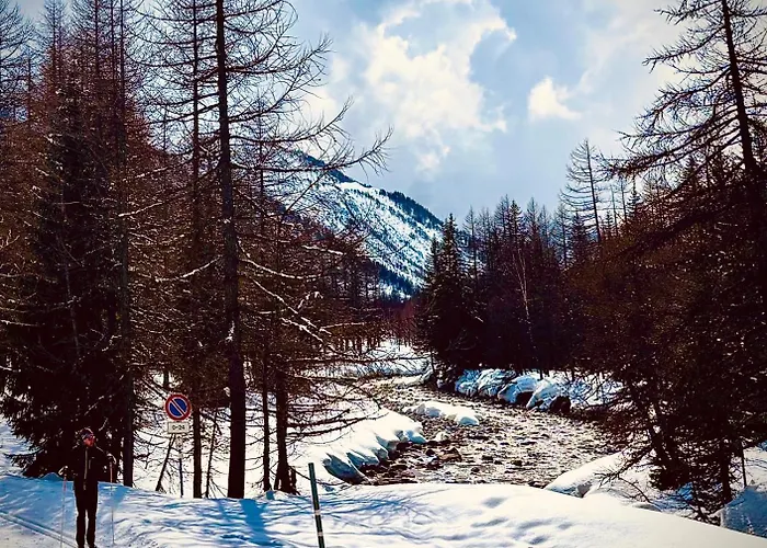 Caldo Rifugio Con Giardino In Pieno Centro Appartement Courmayeur