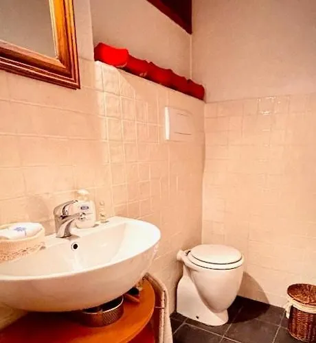 Caldo Rifugio Con Giardino In Pieno Centro Appartement *